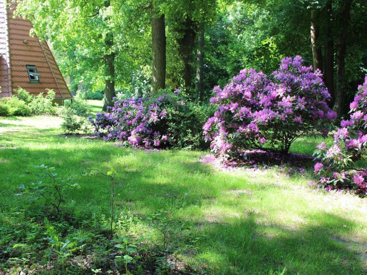 Wasserturm Putbus Ngoại thất bức ảnh